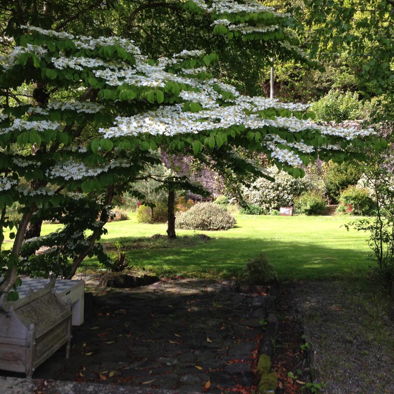 Borthwnog Hall Dolgellau Zewnętrze zdjęcie